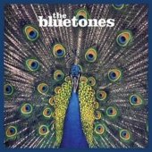 the bluetones