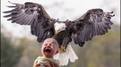 the eagle and child