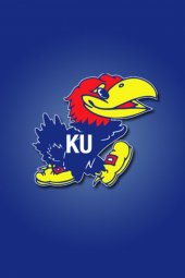 the jayhawks