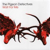 the pigeon detectives