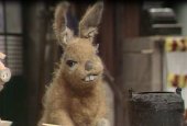 the pipkins