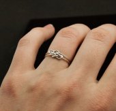 the promise ring