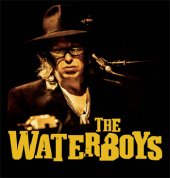 the waterboys