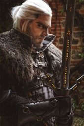 the witcher