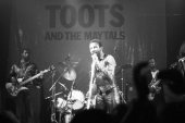 toots and the maytals