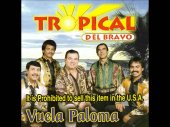 tropical del bravo