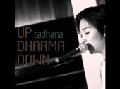 up dharma down