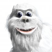 yeti